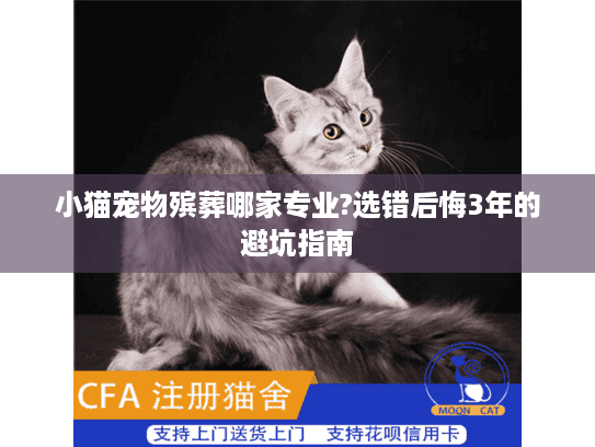小猫宠物殡葬哪家专业?选错后悔3年的避坑指南
