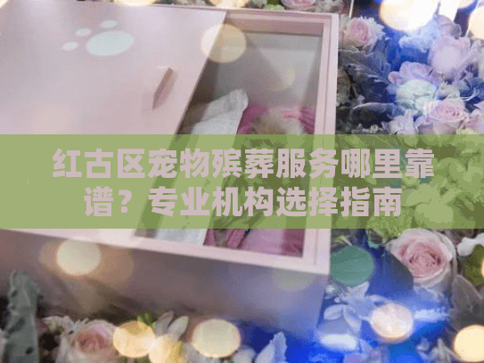 红古区宠物殡葬服务哪里靠谱？专业机构选择指南