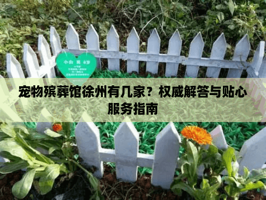 宠物殡葬馆徐州有几家？权威解答与贴心服务指南