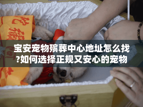 宝安宠物殡葬中心地址怎么找?如何选择正规又安心的宠物善终服务