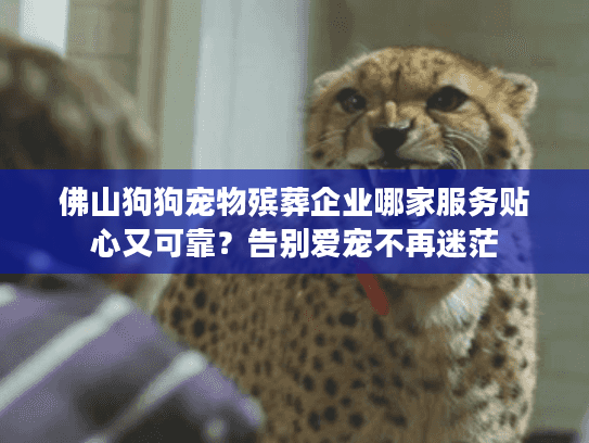 佛山狗狗宠物殡葬企业哪家服务贴心又可靠？告别爱宠不再迷茫