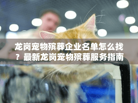 龙岗宠物殡葬企业名单怎么找？最新龙岗宠物殡葬服务指南分享