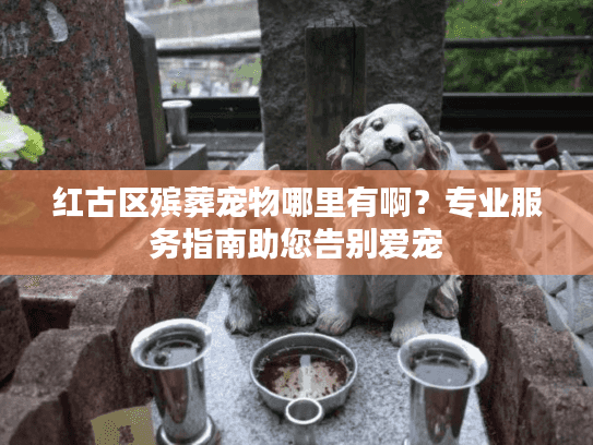 红古区殡葬宠物哪里有啊？专业服务指南助您告别爱宠