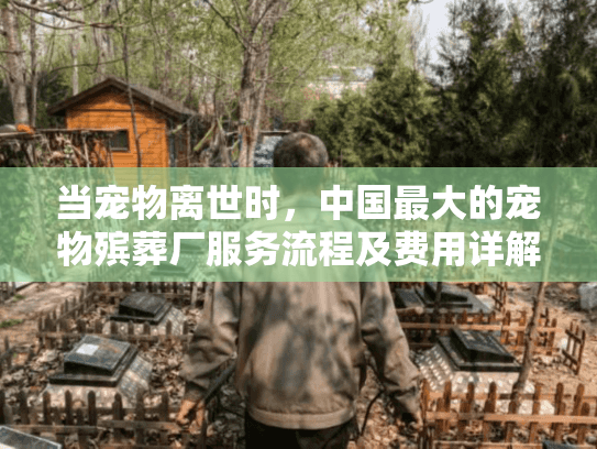 当宠物离世时，中国最大的宠物殡葬厂服务流程及费用详解