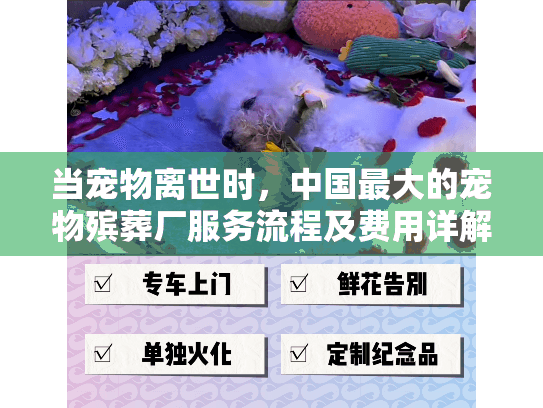 当宠物离世时，中国最大的宠物殡葬厂服务流程及费用详解