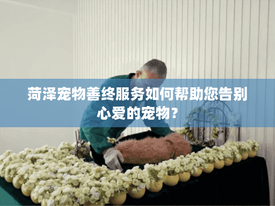 菏泽宠物善终服务如何帮助您告别心爱的宠物？
