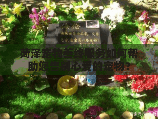 菏泽宠物善终服务如何帮助您告别心爱的宠物？