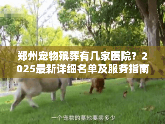 郑州宠物殡葬有几家医院？2025最新详细名单及服务指南