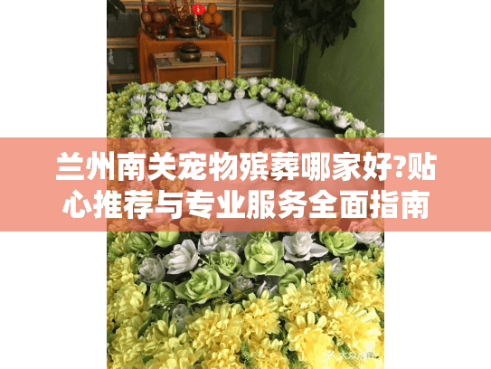 兰州南关宠物殡葬哪家好?贴心推荐与专业服务全面指南
