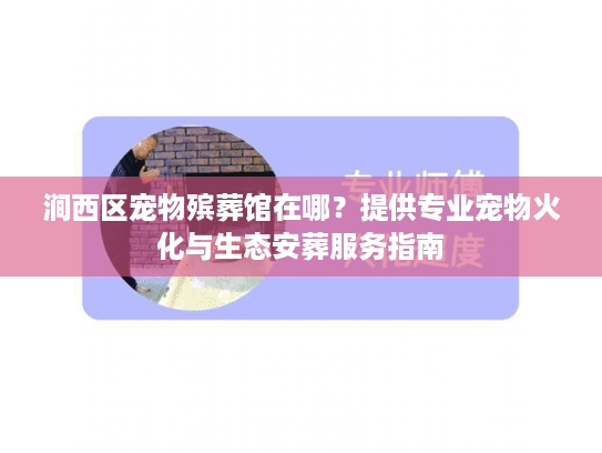 涧西区宠物殡葬馆在哪？提供专业宠物火化与生态安葬服务指南