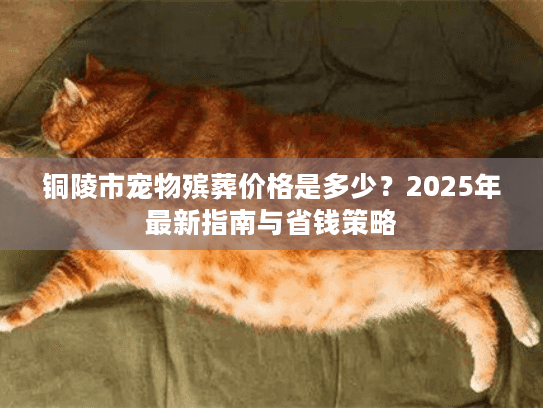 铜陵市宠物殡葬价格是多少？2025年最新指南与省钱策略