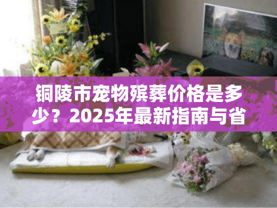 铜陵市宠物殡葬价格是多少？2025年最新指南与省钱策略