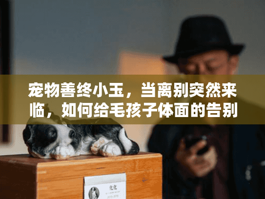 宠物善终小玉，当离别突然来临，如何给毛孩子体面的告别？