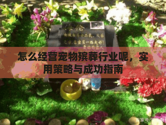 怎么经营宠物殡葬行业呢，实用策略与成功指南