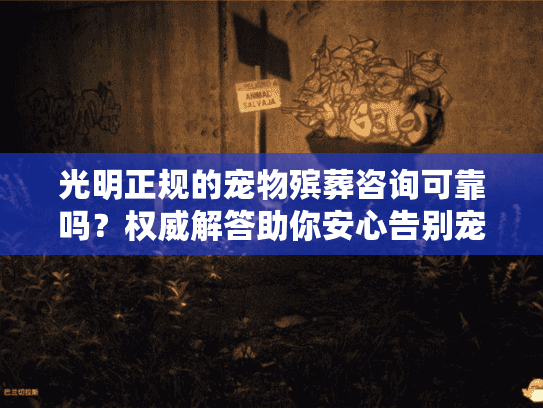 光明正规的宠物殡葬咨询可靠吗？权威解答助你安心告别宠物