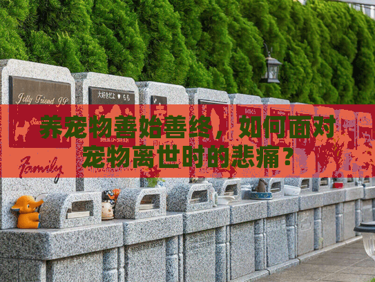 养宠物善始善终，如何面对宠物离世时的悲痛？