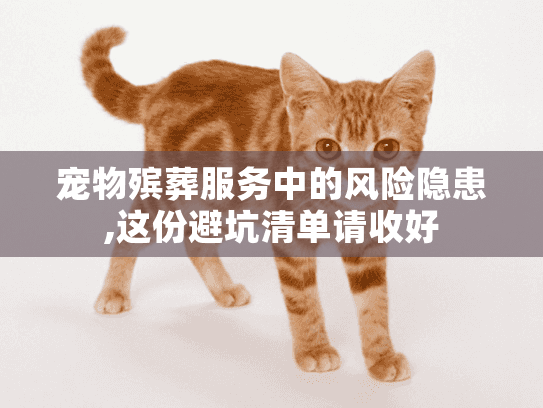 宠物殡葬服务中的风险隐患,这份避坑清单请收好