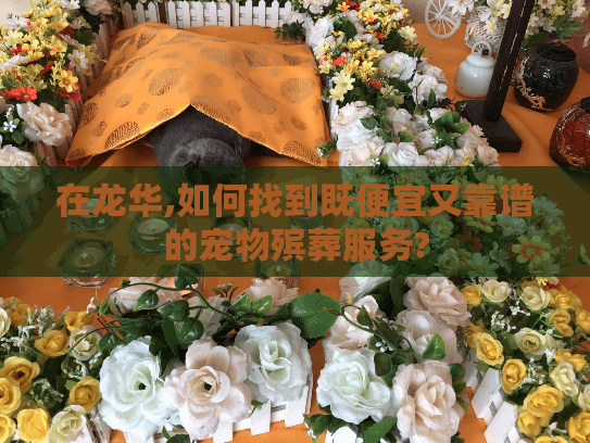在龙华,如何找到既便宜又靠谱的宠物殡葬服务?