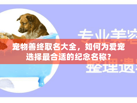宠物善终取名大全，如何为爱宠选择最合适的纪念名称？