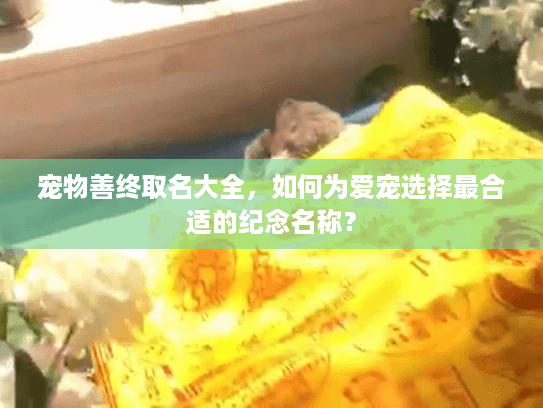 宠物善终取名大全，如何为爱宠选择最合适的纪念名称？