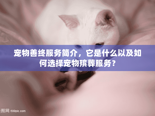 宠物善终服务简介，它是什么以及如何选择宠物殡葬服务？