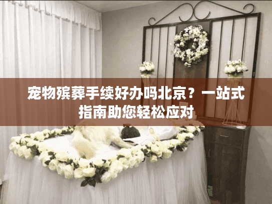 宠物殡葬手续好办吗北京？一站式指南助您轻松应对