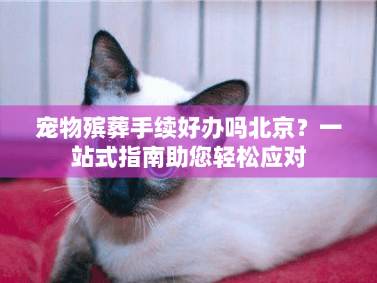 宠物殡葬手续好办吗北京？一站式指南助您轻松应对