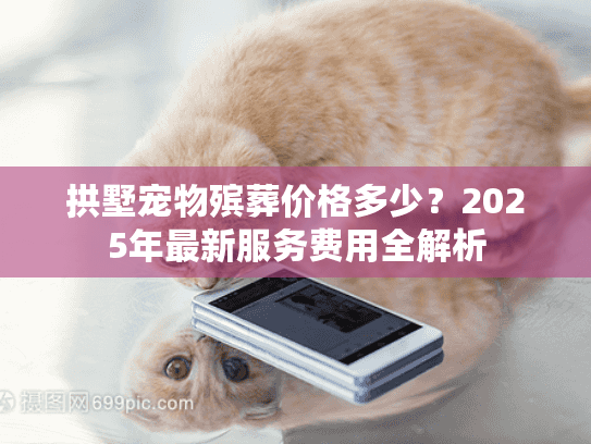 拱墅宠物殡葬价格多少？2025年最新服务费用全解析