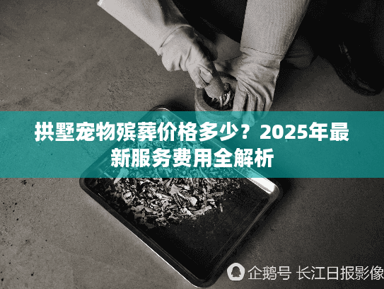 拱墅宠物殡葬价格多少？2025年最新服务费用全解析