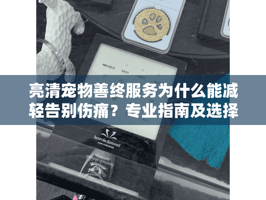 亮清宠物善终服务为什么能减轻告别伤痛？专业指南及选择建议