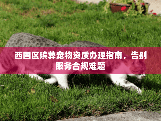 西固区殡葬宠物资质办理指南，告别服务合规难题