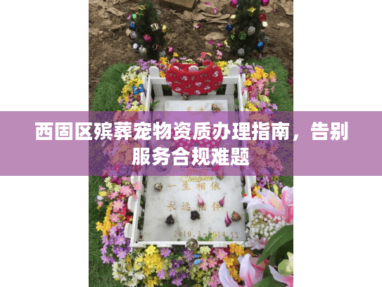 西固区殡葬宠物资质办理指南，告别服务合规难题