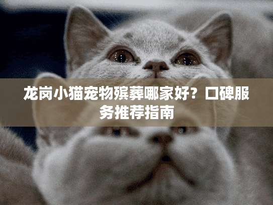 龙岗小猫宠物殡葬哪家好？口碑服务推荐指南