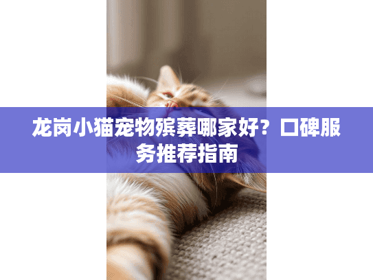 龙岗小猫宠物殡葬哪家好？口碑服务推荐指南