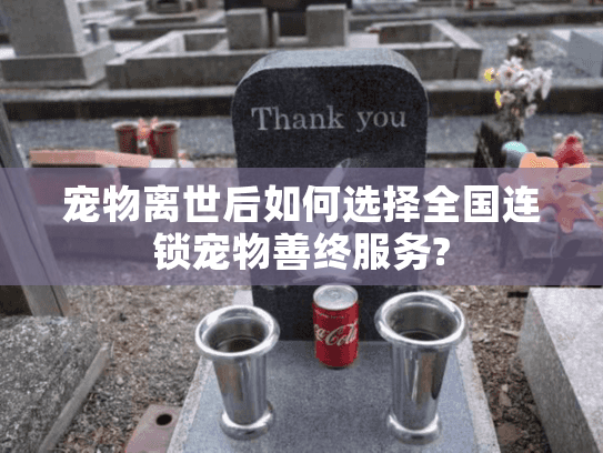 宠物离世后如何选择全国连锁宠物善终服务?