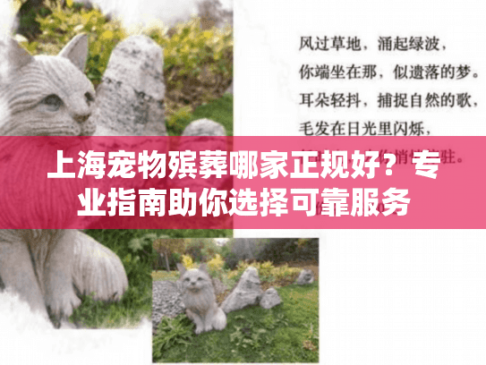 上海宠物殡葬哪家正规好？专业指南助你选择可靠服务