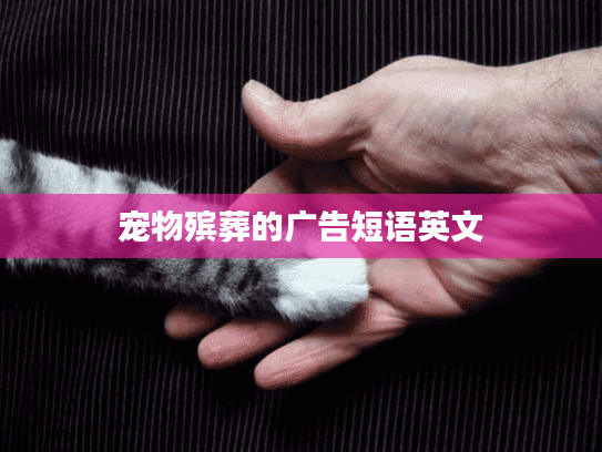 宠物殡葬的广告短语英文