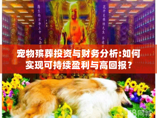 宠物殡葬投资与财务分析:如何实现可持续盈利与高回报？