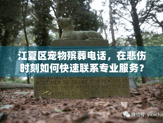 江夏区宠物殡葬电话，在悲伤时刻如何快速联系专业服务？