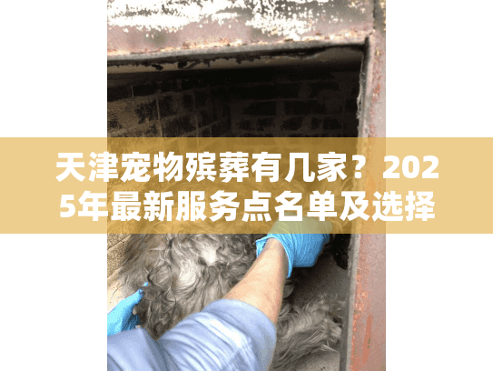天津宠物殡葬有几家？2025年最新服务点名单及选择指南
