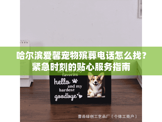 哈尔滨爱馨宠物殡葬电话怎么找？紧急时刻的贴心服务指南