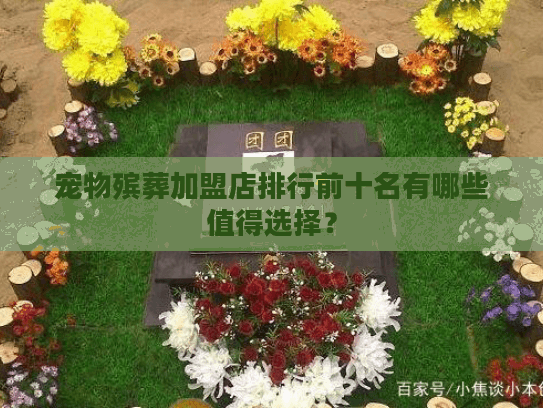 宠物殡葬加盟店排行前十名有哪些值得选择？