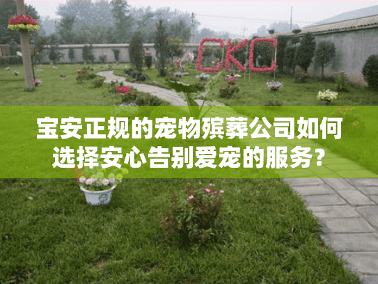 宝安正规的宠物殡葬公司如何选择安心告别爱宠的服务？