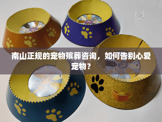 南山正规的宠物殡葬咨询，如何告别心爱宠物？