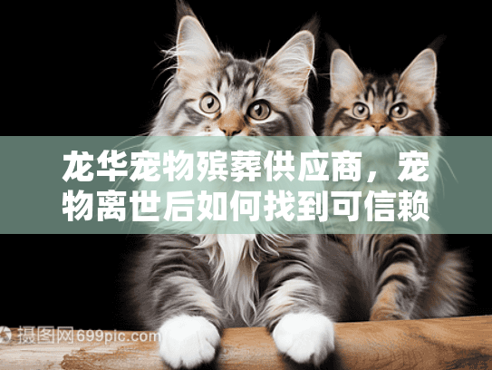 龙华宠物殡葬供应商，宠物离世后如何找到可信赖的告别服务？