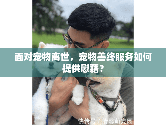 面对宠物离世，宠物善终服务如何提供慰藉？