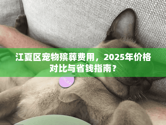 江夏区宠物殡葬费用，2025年价格对比与省钱指南？