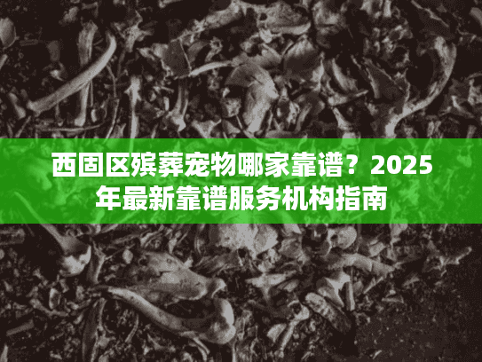 西固区殡葬宠物哪家靠谱？2025年最新靠谱服务机构指南