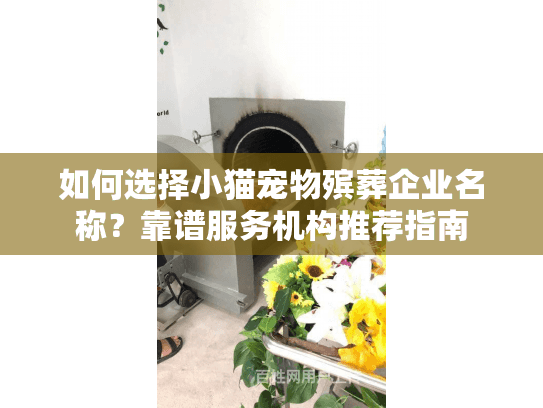 如何选择小猫宠物殡葬企业名称？靠谱服务机构推荐指南