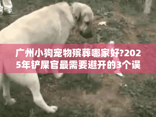 广州小狗宠物殡葬哪家好?2025年铲屎官最需要避开的3个误区
